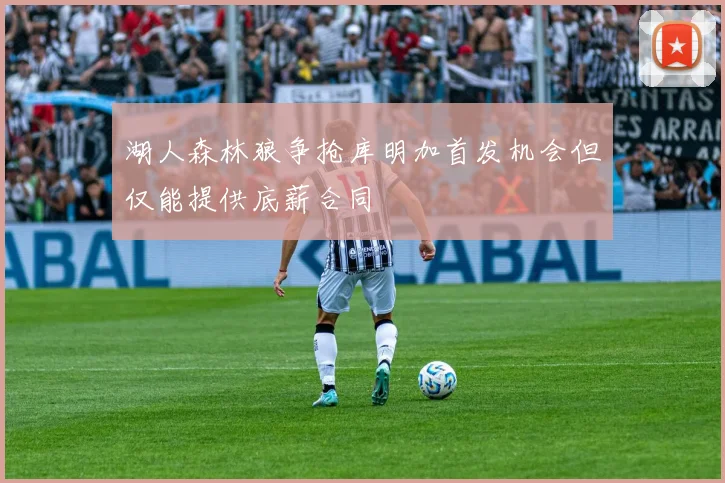 湖人森林狼争抢库明加首发机会但仅能提供底薪合同