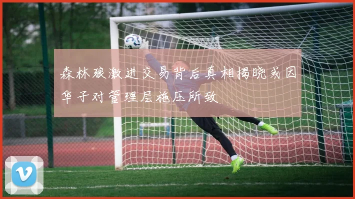 森林狼激进交易背后真相揭晓或因华子对管理层施压所致